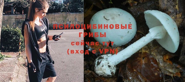 ALPHA PVP Майский