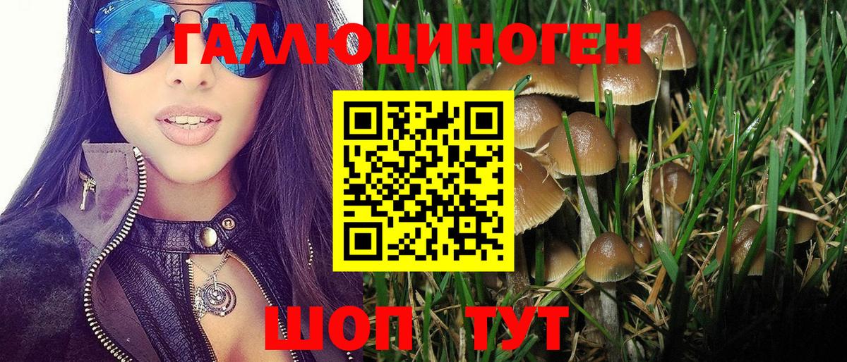 Псилоцибиновые грибы Psilocybe Углич