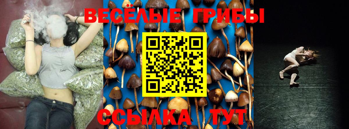 Галлюциногенные грибы MAGIC MUSHROOMS  Вход с VPN  Углич 
